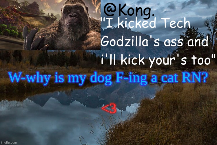 ;-; Like BRUH | W-why is my dog F-ing a cat RN? <3 | image tagged in kong 's new temp | made w/ Imgflip meme maker