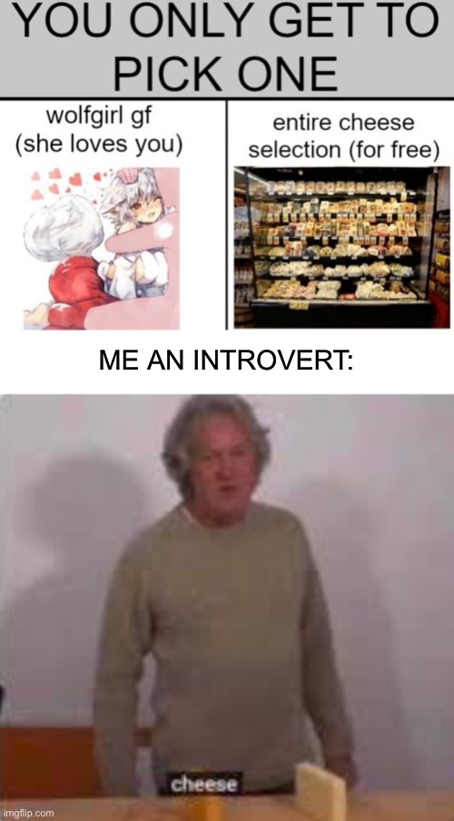 Mmmm yes | ME AN INTROVERT: | image tagged in chease | made w/ Imgflip meme maker