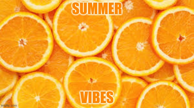 SUMMER VIBES | SUMMER; VIBES | image tagged in orange slices | made w/ Imgflip meme maker
