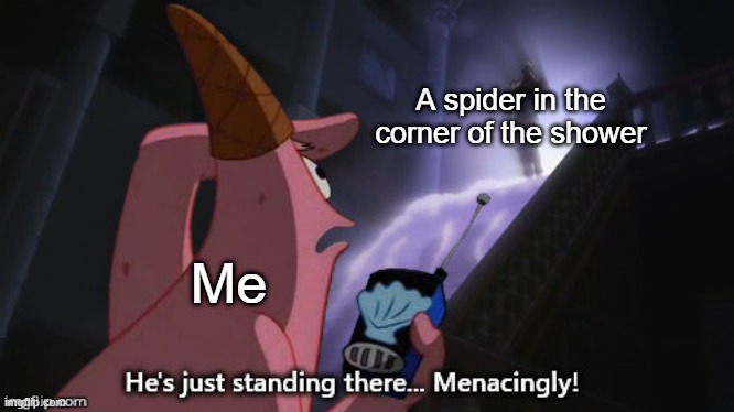 He's just standing there... Menacingly! (JJBA) | A spider in the corner of the shower; Me | image tagged in he's just standing there menacingly jjba | made w/ Imgflip meme maker