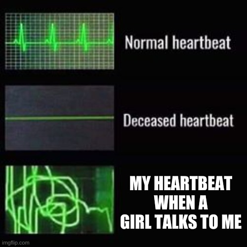 heartbeat rate | MY HEARTBEAT WHEN A GIRL TALKS TO ME | image tagged in heartbeat rate | made w/ Imgflip meme maker