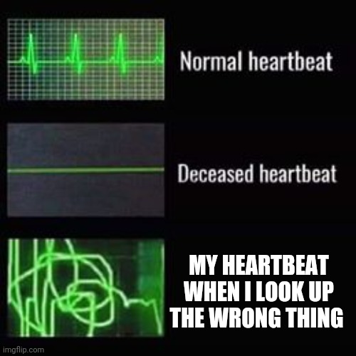 True story. I'll be looking up something and click on something else I didn't want to and start panicking | MY HEARTBEAT WHEN I LOOK UP THE WRONG THING | image tagged in heartbeat rate | made w/ Imgflip meme maker