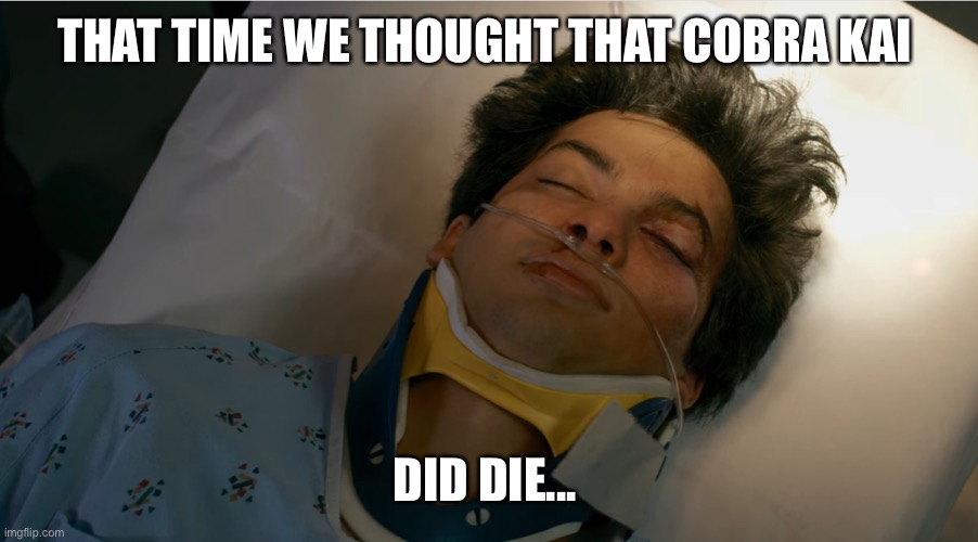 THAT TIME WE THOUGHT THAT COBRA KAI; DID DIE... | made w/ Imgflip meme maker