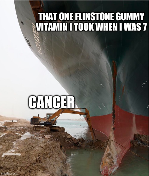 suez-canal | THAT ONE FLINSTONE GUMMY VITAMIN I TOOK WHEN I WAS 7; CANCER | image tagged in suez-canal | made w/ Imgflip meme maker