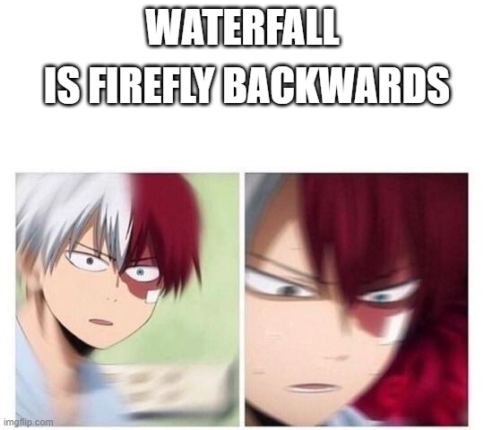 Todoroki | IS FIREFLY BACKWARDS; WATERFALL | image tagged in todoroki | made w/ Imgflip meme maker