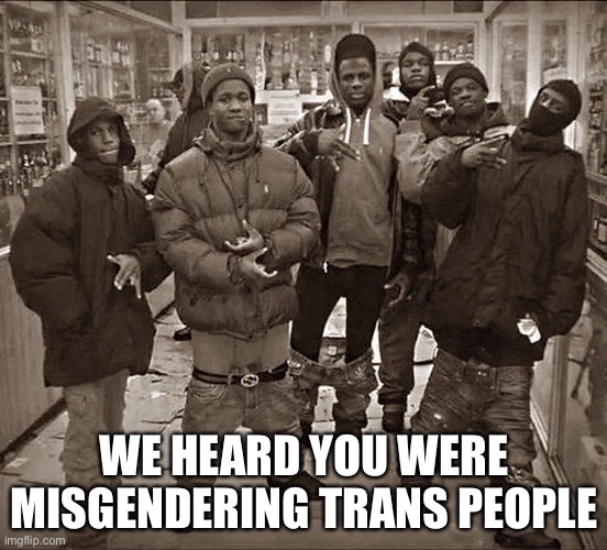 All My Homies Hate | WE HEARD YOU WERE MISGENDERING TRANS PEOPLE | image tagged in all my homies hate | made w/ Imgflip meme maker