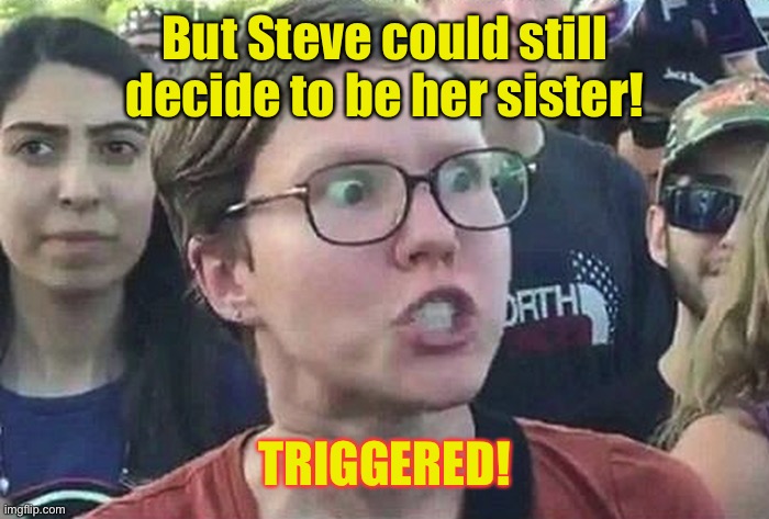Triggered Liberal | But Steve could still decide to be her sister! TRIGGERED! | image tagged in triggered liberal | made w/ Imgflip meme maker