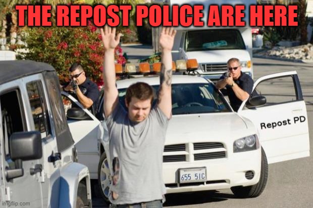 THE REPOST POLICE ARE HERE | image tagged in repost police | made w/ Imgflip meme maker
