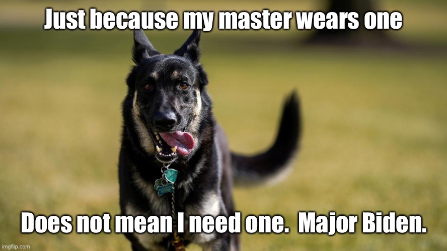 BIDEN DOG-1 | Just because my master wears one Does not mean I need one.  Major Biden. | image tagged in biden dog-1 | made w/ Imgflip meme maker