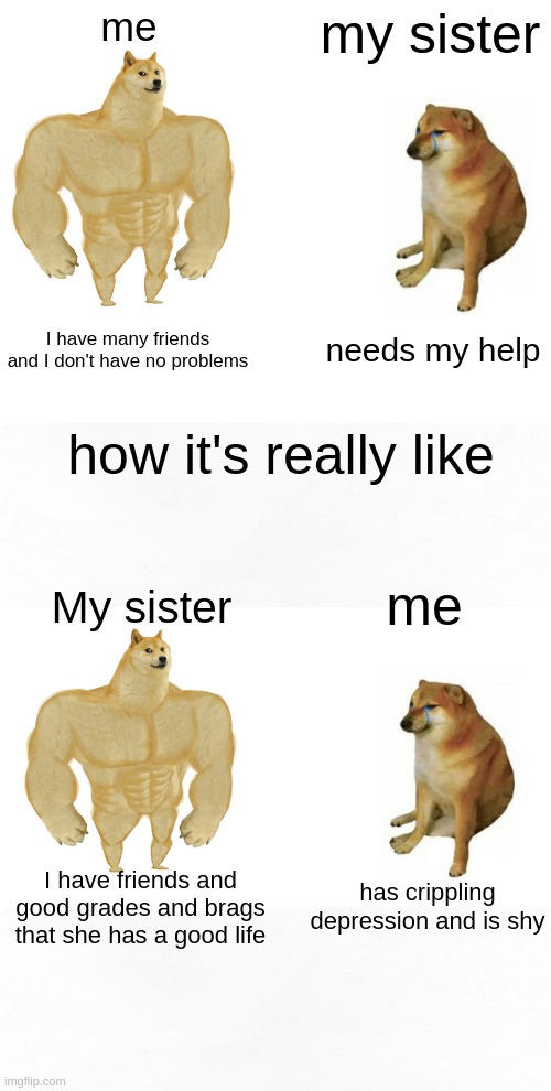 me; my sister; I have many friends and I don't have no problems; needs my help; how it's really like; me; My sister; I have friends and good grades and brags that she has a good life; has crippling depression and is shy | image tagged in memes,buff doge vs cheems | made w/ Imgflip meme maker