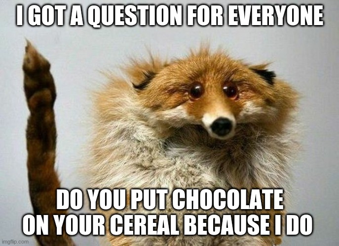 I put chocolate powder on my cereal when i eat it | I GOT A QUESTION FOR EVERYONE; DO YOU PUT CHOCOLATE ON YOUR CEREAL BECAUSE I DO | image tagged in i have a question fox | made w/ Imgflip meme maker