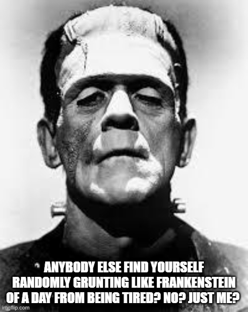Frankenstein's monster  | ANYBODY ELSE FIND YOURSELF RANDOMLY GRUNTING LIKE FRANKENSTEIN OF A DAY FROM BEING TIRED? NO? JUST ME? | image tagged in frankenstein's monster | made w/ Imgflip meme maker