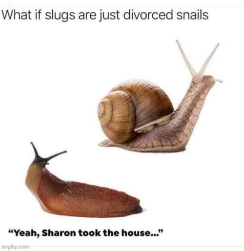 Slugs divorced snails | image tagged in slugs divorced snails,eyeroll,slug,snail,divorce,just divorced | made w/ Imgflip meme maker
