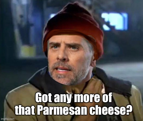 The smartest person our president knows | Got any more of that Parmesan cheese? | image tagged in memes,politics lol,joe biden,y'all got any more of that | made w/ Imgflip meme maker