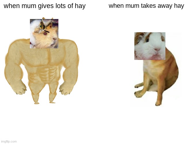 seriously mom | when mum gives lots of hay; when mum takes away hay | image tagged in memes,buff doge vs cheems | made w/ Imgflip meme maker