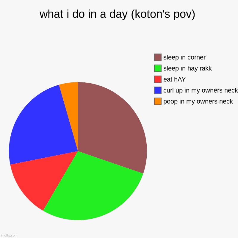 haha i poop in moms nekk | what i do in a day (koton's pov) | poop in my owners neck, curl up in my owners neck, eat hAY, sleep in hay rakk, sleep in corner | image tagged in charts,pie charts | made w/ Imgflip chart maker