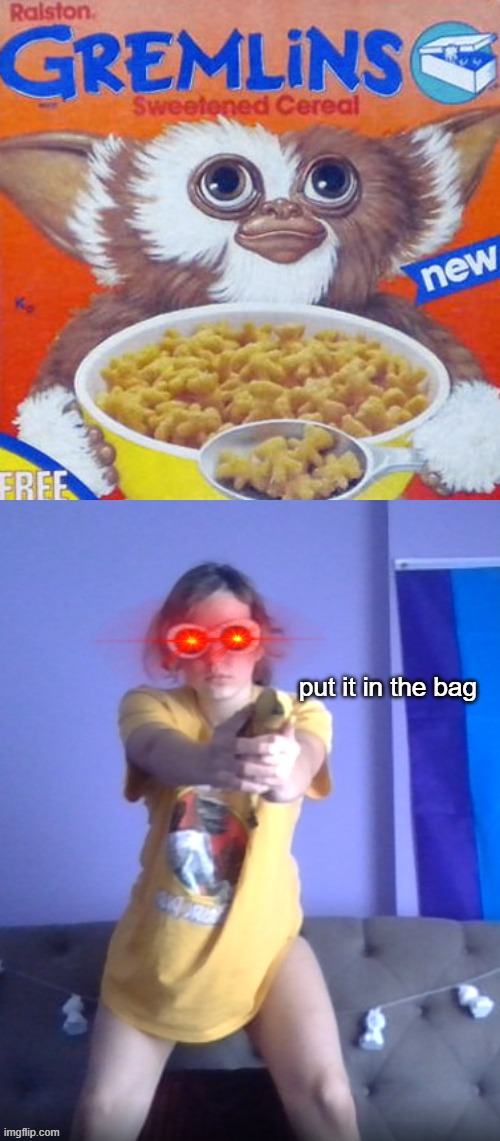 omg i love the gremlins movie | image tagged in put it in the bag | made w/ Imgflip meme maker