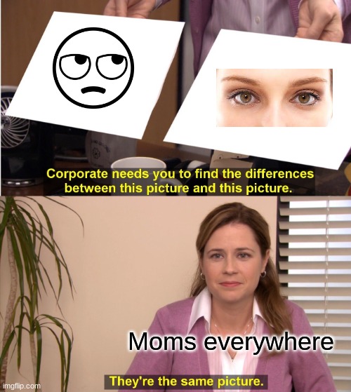 They're The Same Picture | Moms everywhere | image tagged in memes,they're the same picture | made w/ Imgflip meme maker