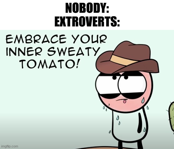 New meme by me - Extroverts be like.......... | NOBODY:
EXTROVERTS: | image tagged in embrace your inner sweaty tomato,fun | made w/ Imgflip meme maker