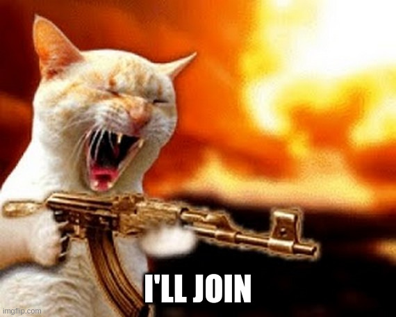 machine gun cat | I'LL JOIN | image tagged in machine gun cat | made w/ Imgflip meme maker