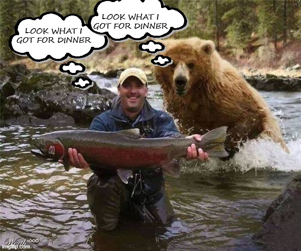 Bear dinner | LOOK WHAT I GOT FOR DINNER; LOOK WHAT I GOT FOR DINNER | image tagged in man bear fish,hunting,fishing,bear,man,salmon | made w/ Imgflip meme maker