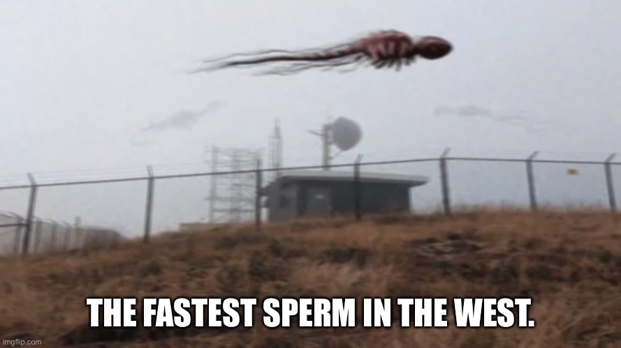 why did i make this | THE FASTEST SPERM IN THE WEST. | image tagged in memes,bruh,wtf | made w/ Imgflip meme maker