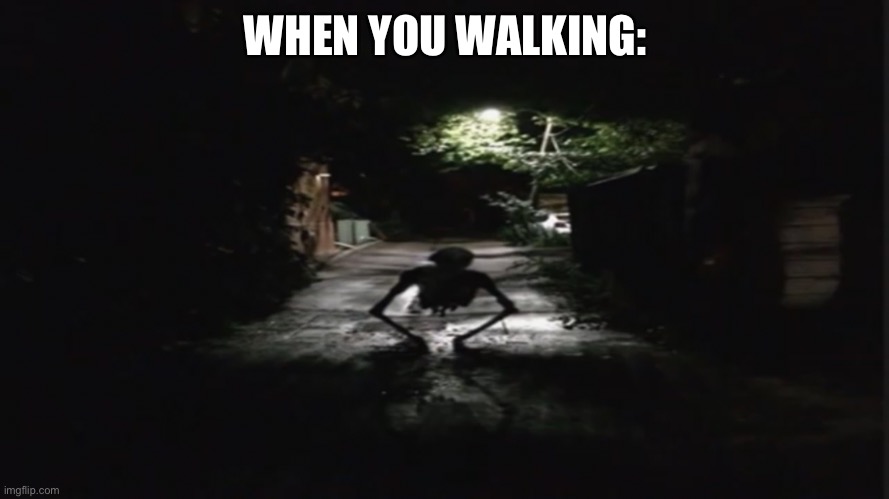 another meme that i have no idea what it is | WHEN YOU WALKING: | image tagged in memes,walking,bruh | made w/ Imgflip meme maker