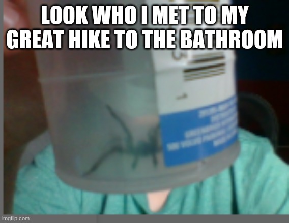 LOOK WHO I MET TO MY GREAT HIKE TO THE BATHROOM | made w/ Imgflip meme maker