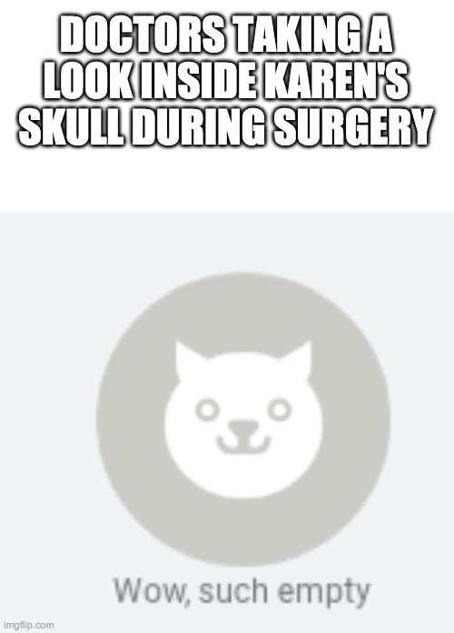 wow such empty | DOCTORS TAKING A LOOK INSIDE KAREN'S SKULL DURING SURGERY | image tagged in wow such empty | made w/ Imgflip meme maker