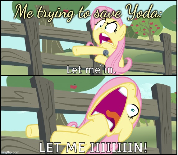 Fluttershy "Let Me In!" | Me trying to save Yoda: | image tagged in fluttershy let me in | made w/ Imgflip meme maker