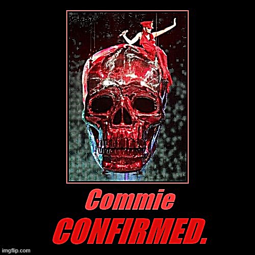 When you're a commie confirmed. | image tagged in kylie commie confirmed | made w/ Imgflip meme maker