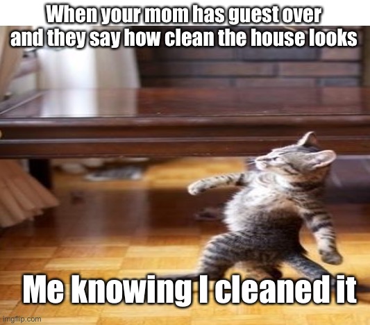 When your mom has guest over and they say how clean the house looks; Me knowing I cleaned it | image tagged in memes,mocking spongebob | made w/ Imgflip meme maker