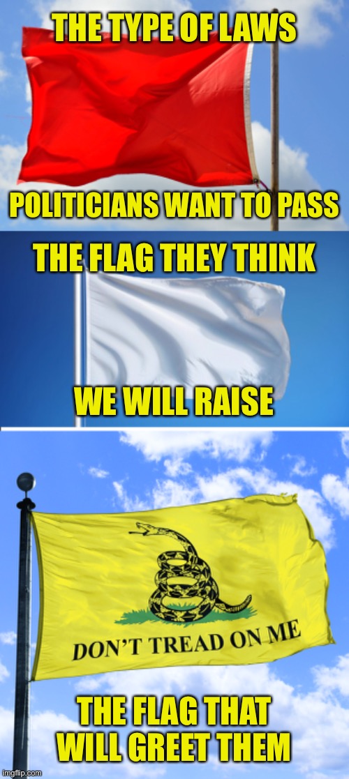 The Red, White, and Yellow? | THE TYPE OF LAWS; POLITICIANS WANT TO PASS; THE FLAG THEY THINK; WE WILL RAISE; THE FLAG THAT WILL GREET THEM | image tagged in red flag laws,gun control,surrender flag,gadsden flag,second amendment | made w/ Imgflip meme maker