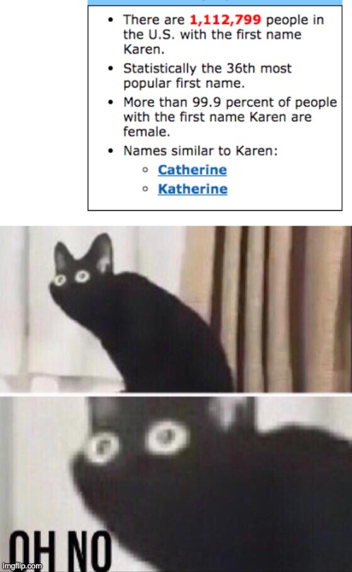 watch out americans | image tagged in oh no cat | made w/ Imgflip meme maker