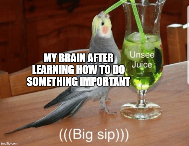 haha | MY BRAIN AFTER LEARNING HOW TO DO SOMETHING IMPORTANT | image tagged in unsee juice | made w/ Imgflip meme maker