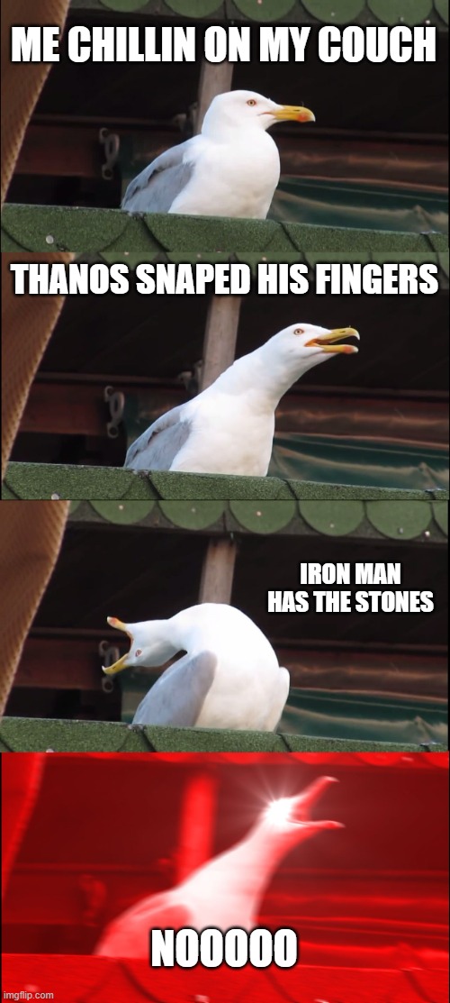 Inhaling Seagull Meme | ME CHILLIN ON MY COUCH; THANOS SNAPED HIS FINGERS; IRON MAN HAS THE STONES; NOOOOO | image tagged in memes,inhaling seagull,thanos snap,iron man,rage,funny | made w/ Imgflip meme maker