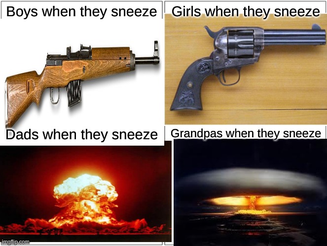 Sneezing | Boys when they sneeze; Girls when they sneeze; Dads when they sneeze; Grandpas when they sneeze | image tagged in blank comic panel 2x2,boys vs girls,dads vs grandpas,memes,oh wow are you actually reading these tags | made w/ Imgflip meme maker