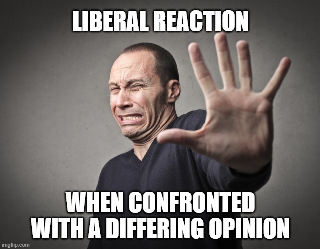 Liberals are so inclusive and support unity, right? | LIBERAL REACTION; WHEN CONFRONTED WITH A DIFFERING OPINION | image tagged in scared guy,liberals,narrative,dimwits,sanctimonious,hypocrites | made w/ Imgflip meme maker