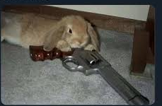 bunny gun Blank Meme Template