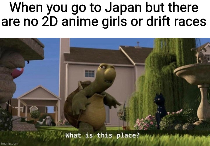 What is this place | When you go to Japan but there are no 2D anime girls or drift races | image tagged in what is this place | made w/ Imgflip meme maker