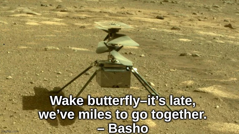 Ingenuity helicopter - NASA Mars Perseverance mission | Wake butterfly–it’s late,
we’ve miles to go together.
– Basho | image tagged in ingenuity - nasa mars perseverance helicopter,mars,helicopter,nasa,perseverance,ingenuity | made w/ Imgflip meme maker