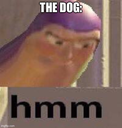 Buzz Lightyear Hmm | THE DOG: | image tagged in buzz lightyear hmm | made w/ Imgflip meme maker