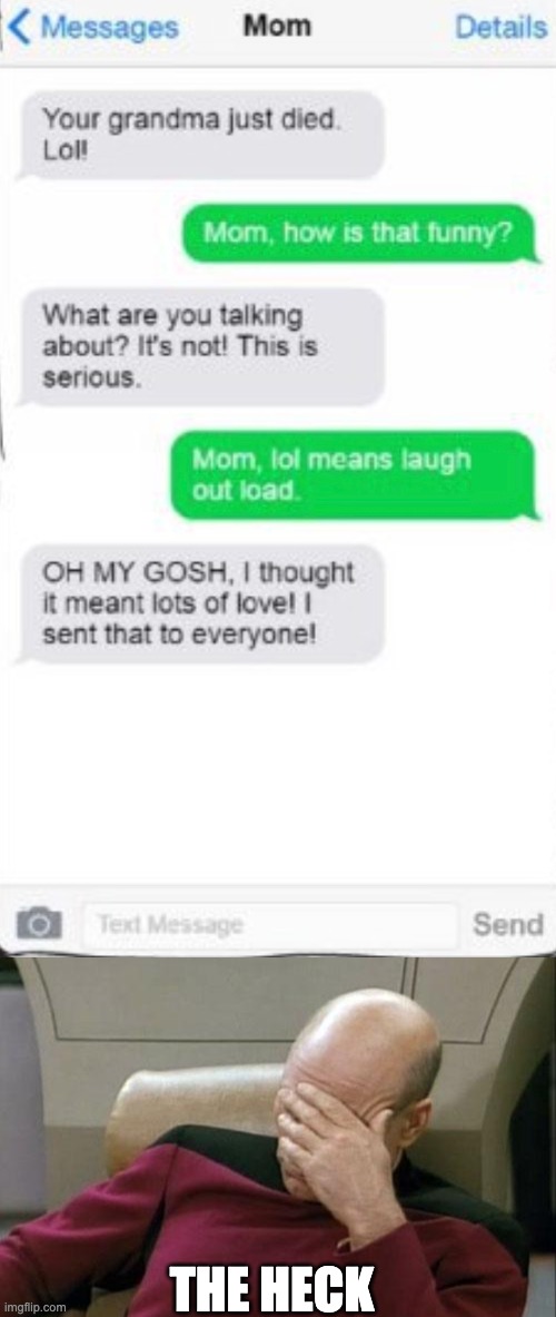 bruh | THE HECK | image tagged in memes,captain picard facepalm,funny,chat,fails | made w/ Imgflip meme maker