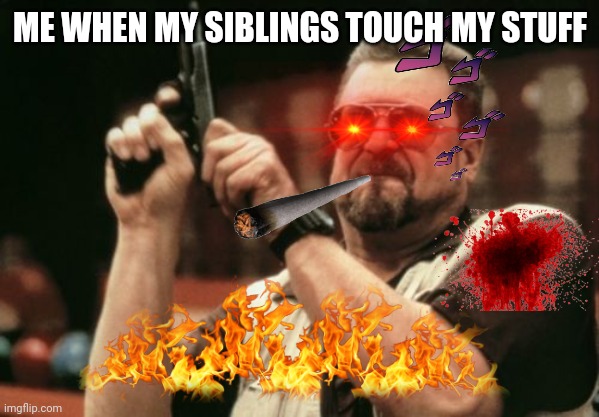 COME HERE YOU LITTLE CRAP | ME WHEN MY SIBLINGS TOUCH MY STUFF | image tagged in memes,am i the only one around here | made w/ Imgflip meme maker