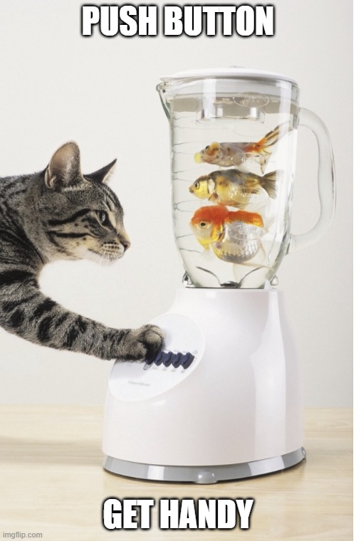 Blender Cat | PUSH BUTTON; GET HANDY | image tagged in blender cat | made w/ Imgflip meme maker