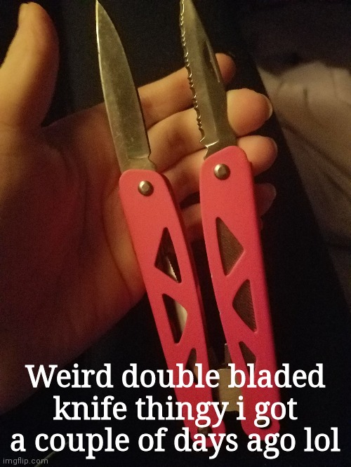 Weird double bladed knife thingy i got a couple of days ago lol | made w/ Imgflip meme maker