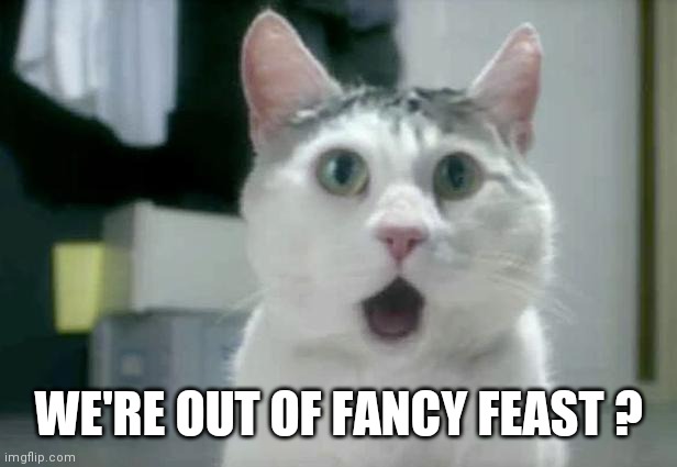 Cat in  Shock | WE'RE OUT OF FANCY FEAST ? | image tagged in memes,omg cat,fancy feast,funny cat memes,cat food,cats | made w/ Imgflip meme maker