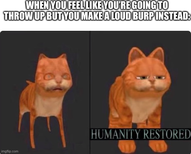 I finally done it | WHEN YOU FEEL LIKE YOU’RE GOING TO THROW UP BUT YOU MAKE A LOUD BURP INSTEAD: | image tagged in humanity restored,memes | made w/ Imgflip meme maker
