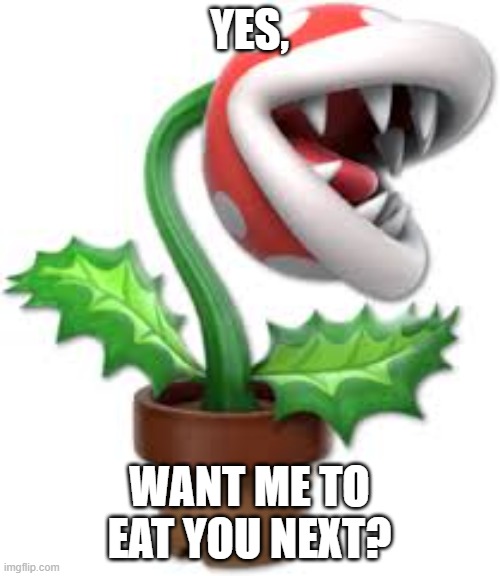 piranha plant | YES, WANT ME TO EAT YOU NEXT? | image tagged in piranha plant | made w/ Imgflip meme maker