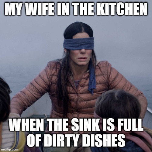 dirty dishes | MY WIFE IN THE KITCHEN; WHEN THE SINK IS FULL
OF DIRTY DISHES | image tagged in memes,bird box | made w/ Imgflip meme maker